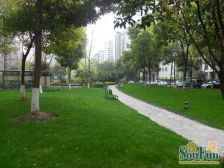 徐家汇明星楼盘+南北通透+全屋空调+带花园