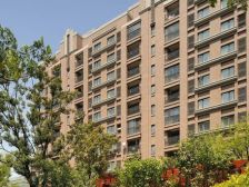 新上一楼带花园,视野好,采光好!