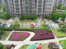 户型板正,三室朝南,业主诚意,采光不影响