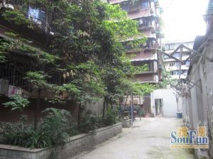 梓潼街44号 3室2厅 东南