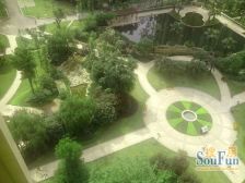 巴国城后门大两房业主诚心卖小区环境优雅