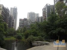 花样年花样城3室2厅东南