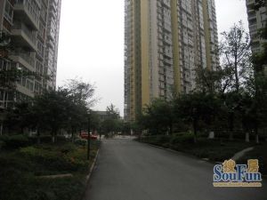 朝阳时代西锦3室2厅东南