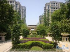 诚意出售,钥匙房,上音没有用过,可以随时上上音