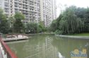 佳兆业丽晶港实景图