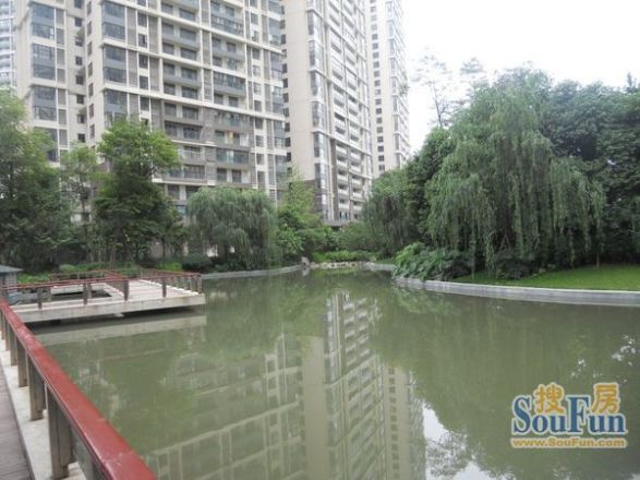 佳兆业丽晶港实景图