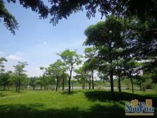 丰泰观山花园半山区联排边位别墅毛坯房看房方便