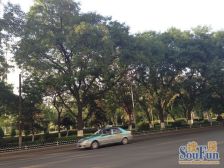 广场 金色堤岸 两室一厅 可停车 有院子 水车园三十五