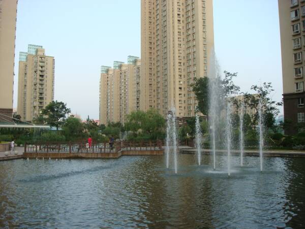 实景图