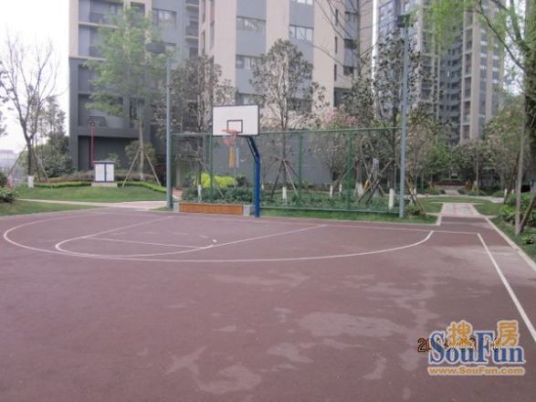 万科金色海蓉一期实景图