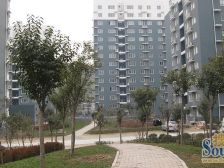 大三房,户型方正,通透,采光好,