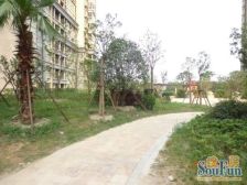 中间好楼层,全天采光,视野好,交通便利。