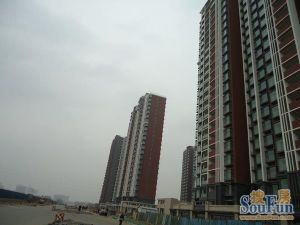 八家嘉园2室1厅南北