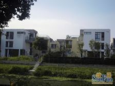 大零号湾板块经典独栋别墅,纯毛坯房型方正大花园,看房随时