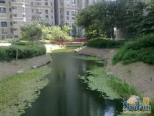 本房满两年 税费少 通透性好,采光好 地铁近 诚心卖房