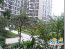 交大万通格外1室0厅东南