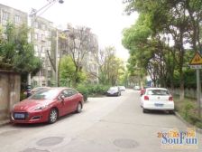 中南苑 1室1厅 南