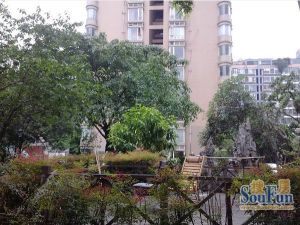 芳沁街89号4室2厅南