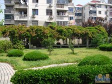 夏阳·城东新村一期·2室·1厅