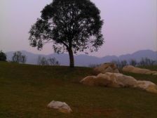 南山景区+复地山与城+二期上叠+露台大+视野无遮挡