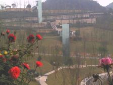 有个小院落,生活真不错。南山绿肺法式联户端户大花园