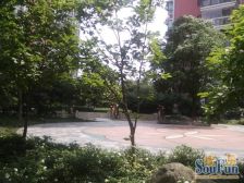 近地铁 中间楼层 无抵押 精装,新上房源