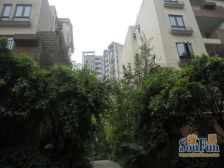 边城香格里 3室2厅 南