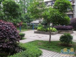 可带车位出售鸿园小区6-7号线长塘里新电梯小高层
