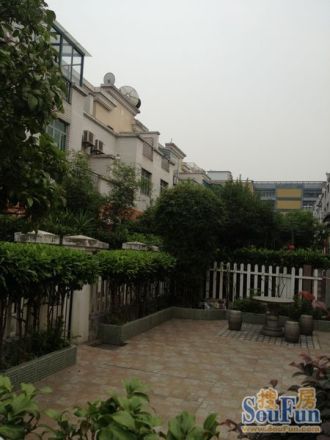 水仙苑实景图