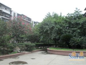 塔西南石油小区3室1厅西北