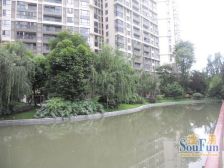 丽晶港3室1厅东北