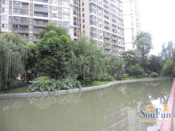佳兆业丽晶港实景图