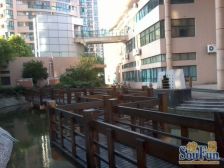 品质小区 仁恒物业 四开间朝南 南北通户型 景观楼层