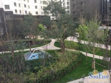 水车园三十五 产权清晰无抵押 采光充足无遮挡