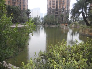 公园大道2室2厅西南