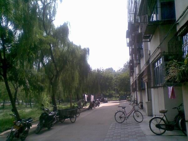 小区相关图
