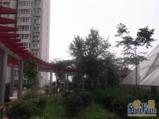 洪楼商圈 印象城 海蔚广场 南向中间楼层 视野好