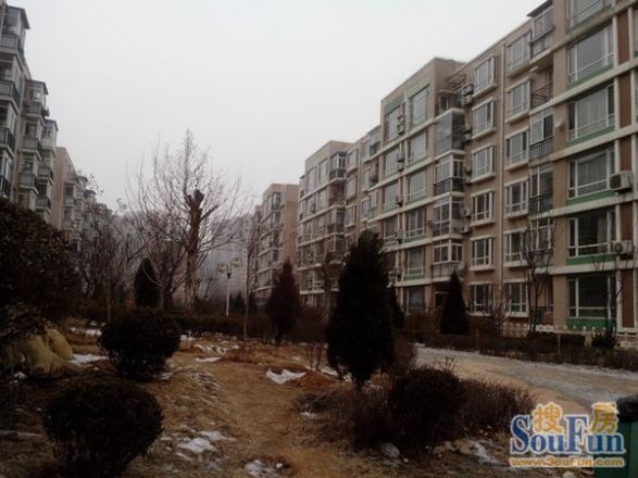 阳光月秀实景图