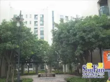 锦丽苑新上小户,高楼层,中小双本,业主诚意出售,价格可谈