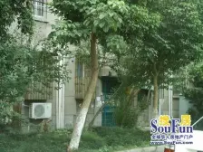 象牙新村顶复 实用面积大 带大阳光房 有车库 采光好