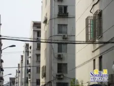 龙西·龙西新村缥缈苑·1室·1厅