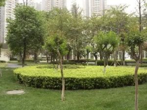 高攀路18号2室1厅南北