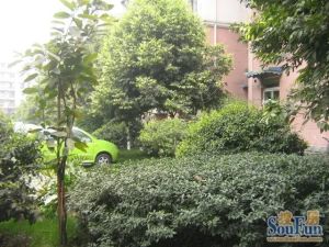 海宁西苑3室2厅西