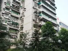 老城次新小区电梯房 顶跃有露台