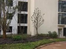 观音桥小区房,大兴村,平安摩卡,清水三室,板式结构