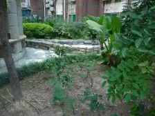 观音桥 蔚蓝世纪一房90万