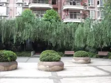 金桂苑(璧山) 5室3厅 南