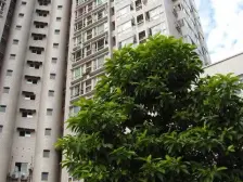 老城区 远林名苑A区三房56.8万