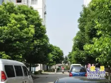 横塘 · 石湖花园 · 4室 · 2厅,带露台大车库