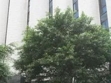 大溪沟 人民支路片区三房89万